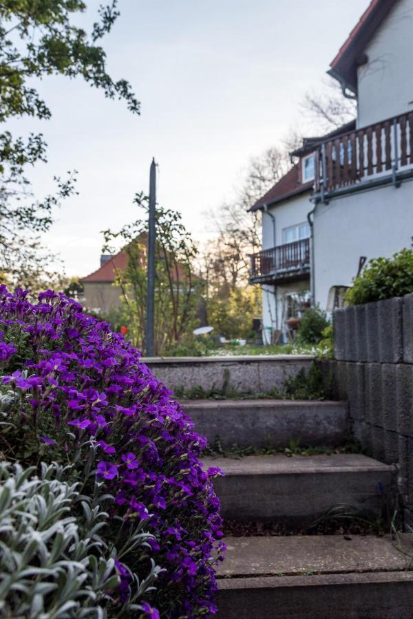Gaestehaus Bechtloff Майсен Екстериор снимка